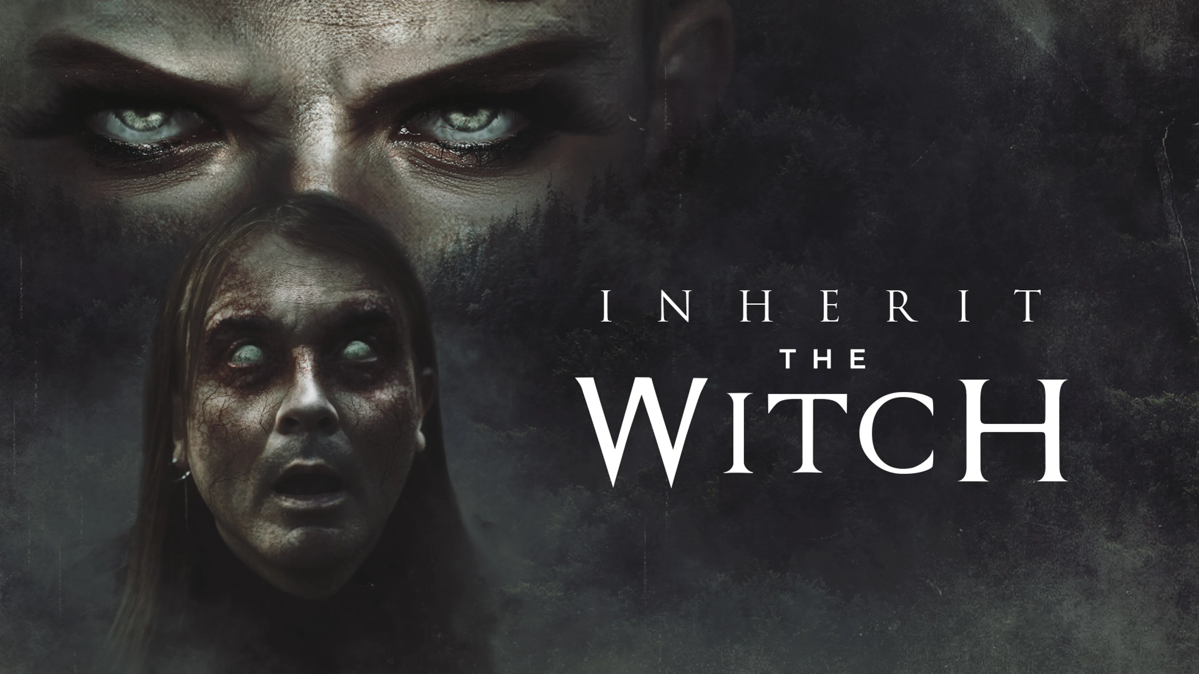 Inherit the Witch poster